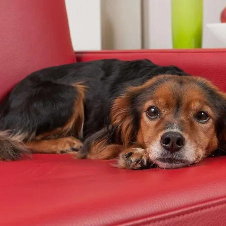 Maseven Si Centrum Ehem Si-suites Ξενοδοχείο με διαμερίσματα