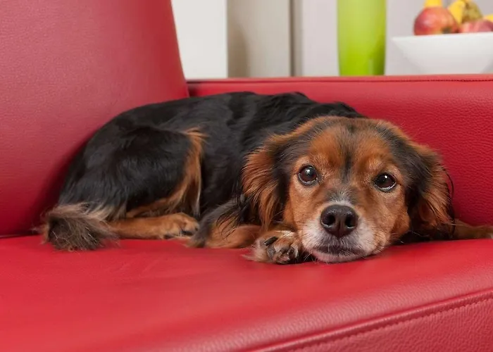 Maseven Si Centrum Ehem Si-suites アパートホテル