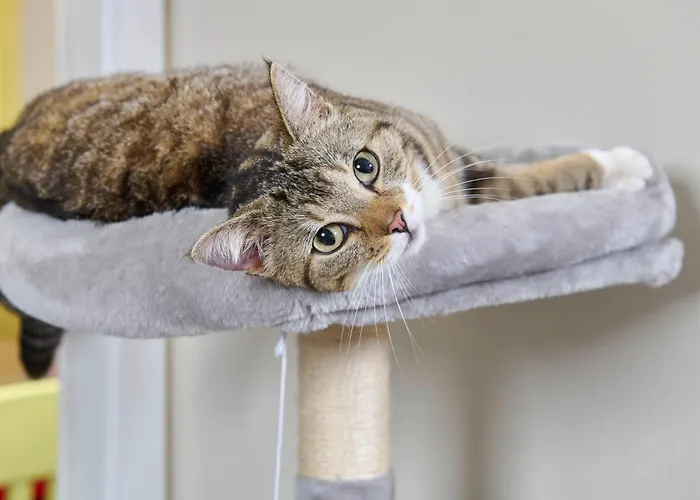 Maseven Si Centrum Ehem Si-suites