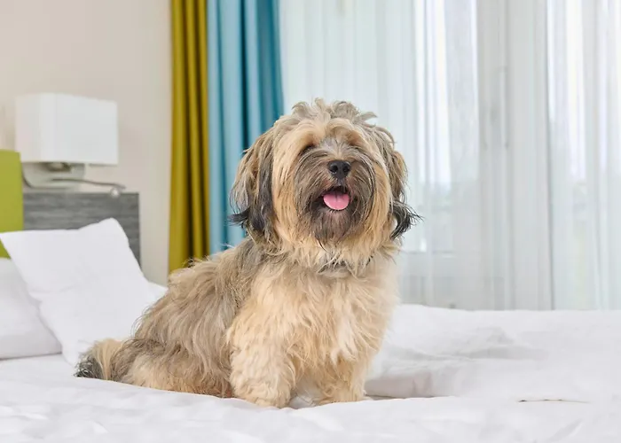 Maseven Si Centrum Ehem Si-suites