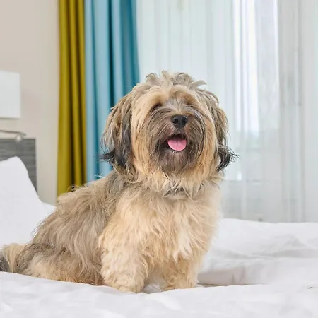 Maseven Si Centrum Ehem Si-suites