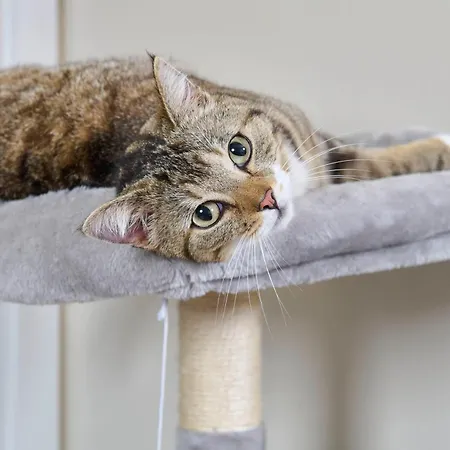 Maseven Si Centrum Ehem Si-suites